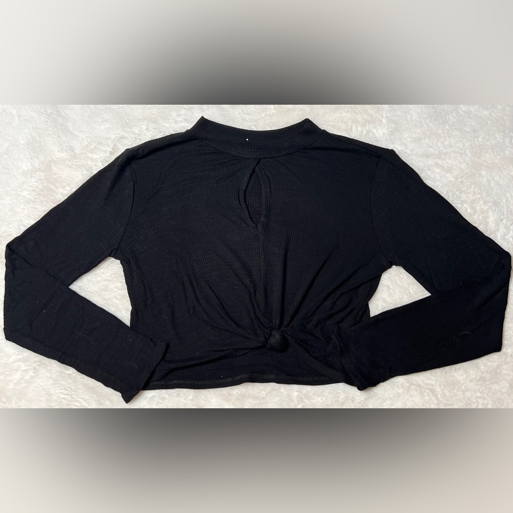 Lush long sleeve crop top